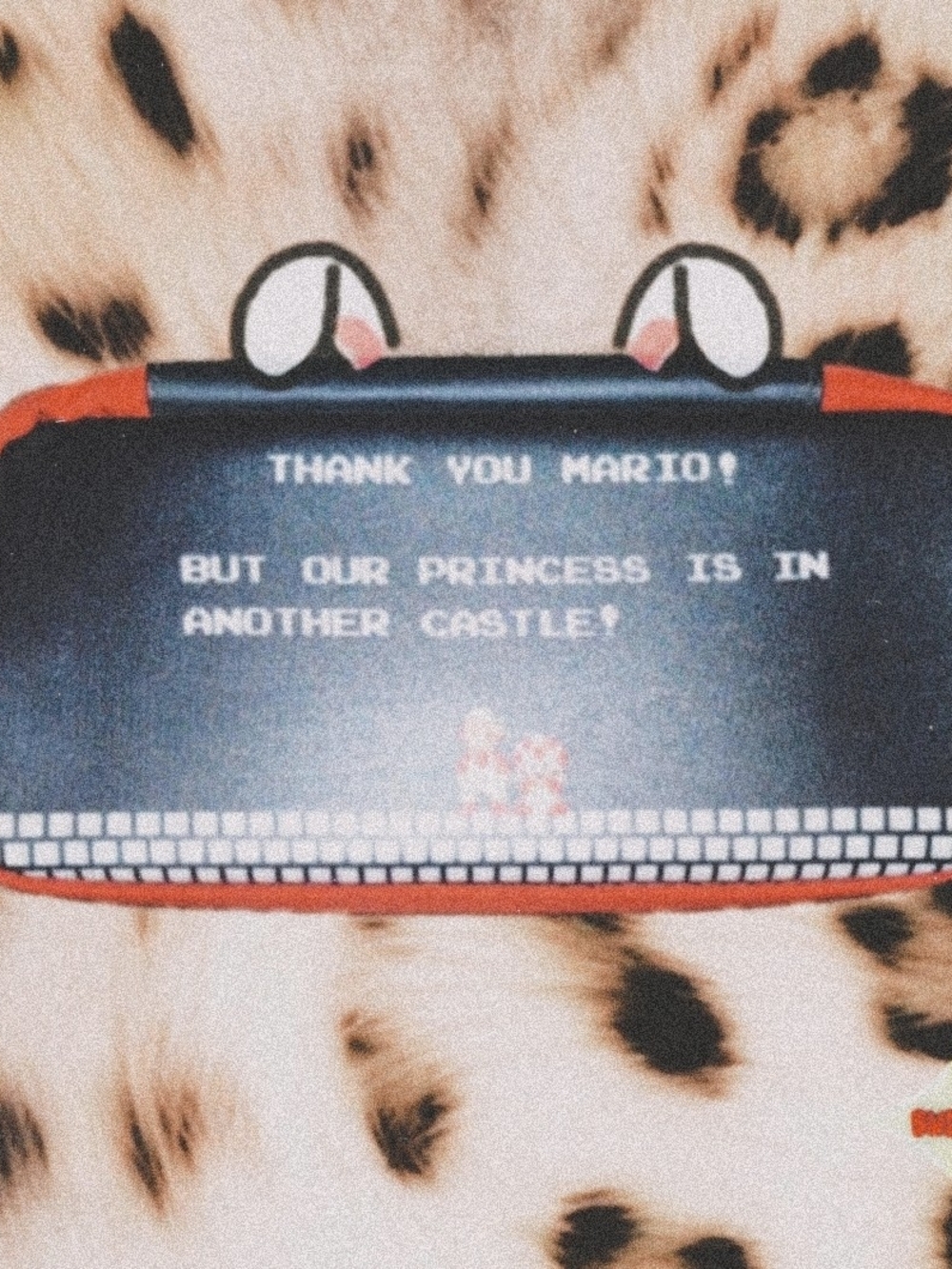 Nintendo Switch Case